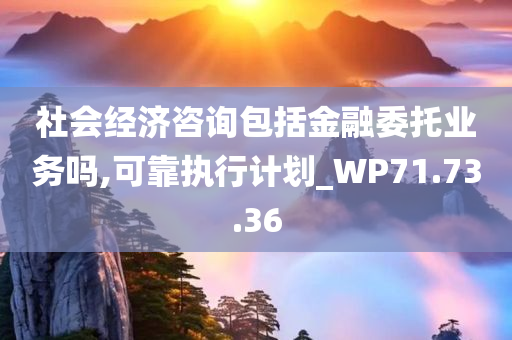 社会经济咨询包括金融委托业务吗,可靠执行计划_WP71.73.36