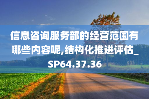 信息咨询服务部的经营范围有哪些内容呢,结构化推进评估_SP64.37.36