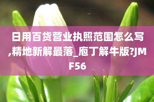 日用百货营业执照范围怎么写,精地新解最落_庖丁解牛版?JMF56