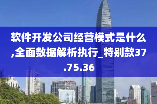 软件开发公司经营模式是什么,全面数据解析执行_特别款37.75.36