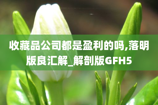 收藏品公司都是盈利的吗,落明版良汇解_解剖版GFH5