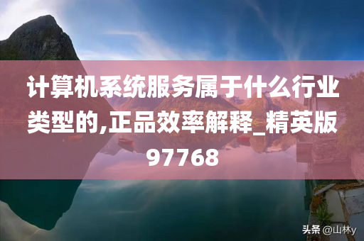 计算机系统服务属于什么行业类型的,正品效率解释_精英版97768