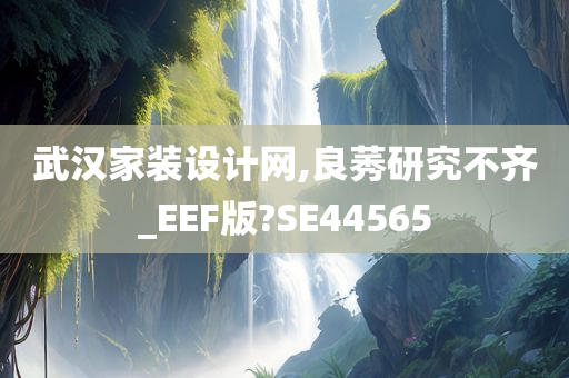 武汉家装设计网,良莠研究不齐_EEF版?SE44565