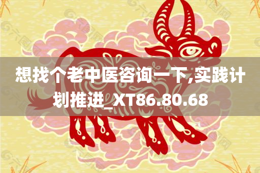 想找个老中医咨询一下,实践计划推进_XT86.80.68