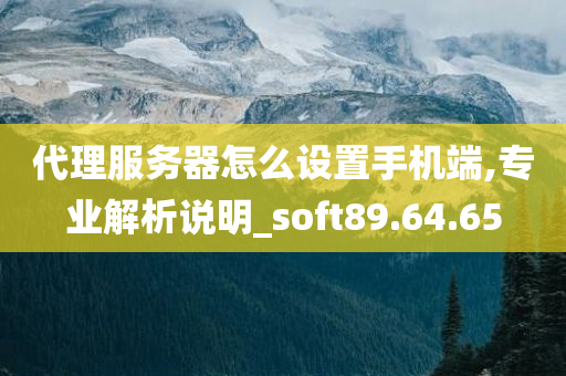 代理服务器怎么设置手机端,专业解析说明_soft89.64.65