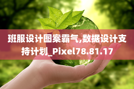 班服设计图案霸气,数据设计支持计划_Pixel78.81.17