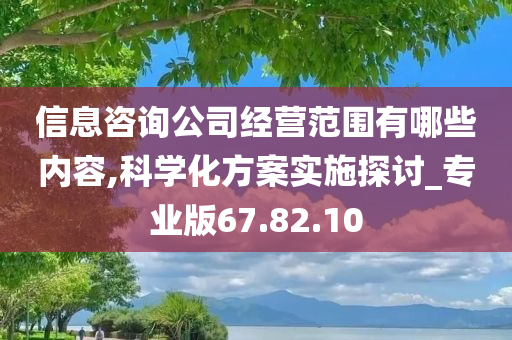 信息咨询公司经营范围有哪些内容,科学化方案实施探讨_专业版67.82.10