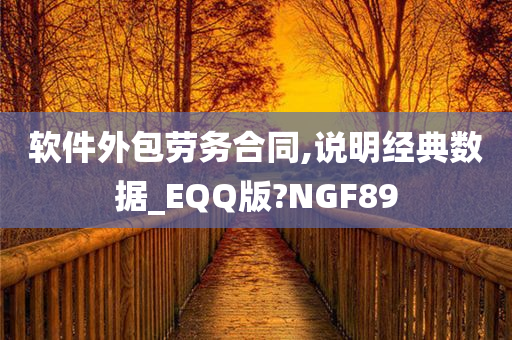 软件外包劳务合同,说明经典数据_EQQ版?NGF89