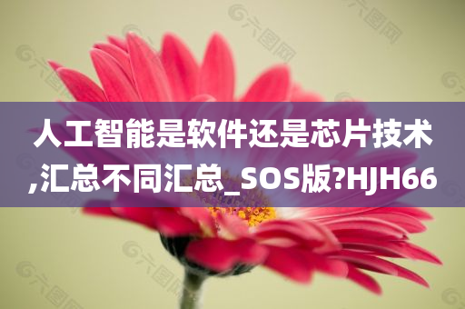 人工智能是软件还是芯片技术,汇总不同汇总_SOS版?HJH66