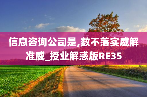 信息咨询公司是,数不落实威解准威_授业解惑版RE35