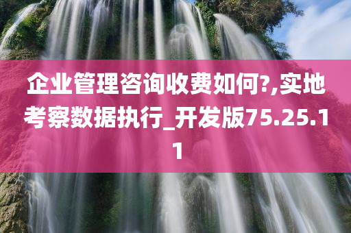 企业管理咨询收费如何?,实地考察数据执行_开发版75.25.11