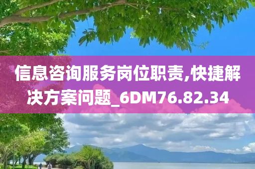 信息咨询服务岗位职责,快捷解决方案问题_6DM76.82.34