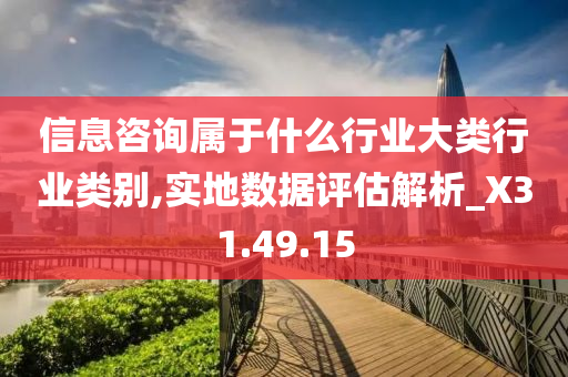 信息咨询属于什么行业大类行业类别,实地数据评估解析_X31.49.15