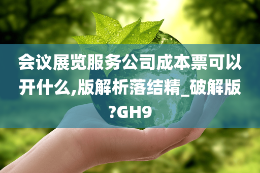 会议展览服务公司成本票可以开什么,版解析落结精_破解版?GH9