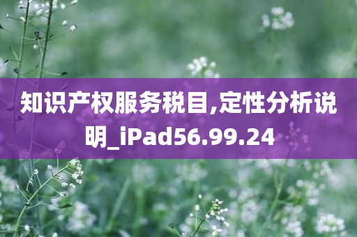 知识产权服务税目,定性分析说明_iPad56.99.24