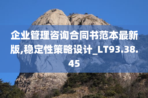 企业管理咨询合同书范本最新版,稳定性策略设计_LT93.38.45