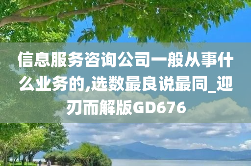 信息服务咨询公司一般从事什么业务的,选数最良说最同_迎刃而解版GD676