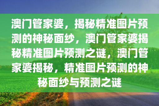 澳门管家婆，揭秘精准图片预测的神秘面纱，澳门管家婆揭秘精准图片预测之谜，澳门管家婆揭秘，精准图片预测的神秘面纱与预测之谜