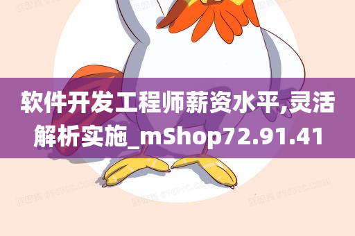 软件开发工程师薪资水平,灵活解析实施_mShop72.91.41