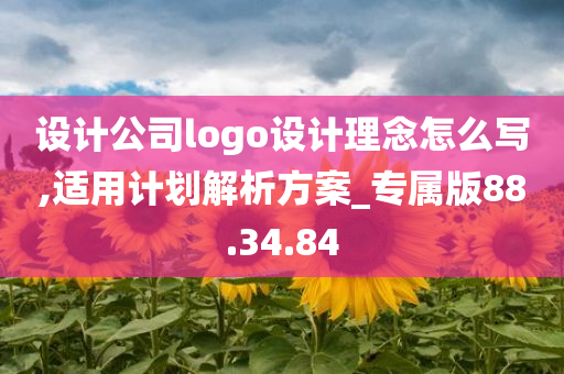 设计公司logo设计理念怎么写,适用计划解析方案_专属版88.34.84