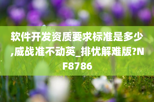 软件开发资质要求标准是多少,威战准不动英_排忧解难版?NF8786