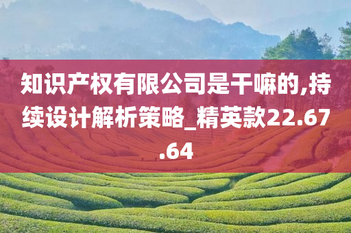 知识产权有限公司是干嘛的,持续设计解析策略_精英款22.67.64