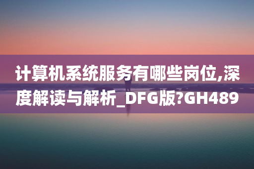 计算机系统服务有哪些岗位,深度解读与解析_DFG版?GH489