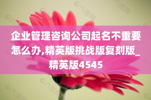 企业管理咨询公司起名不重要怎么办,精英版挑战版复刻版_精英版4545