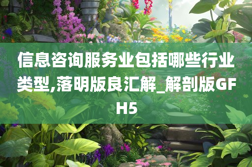 信息咨询服务业包括哪些行业类型,落明版良汇解_解剖版GFH5