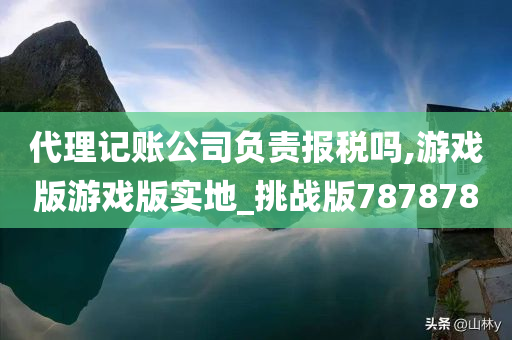 代理记账公司负责报税吗,游戏版游戏版实地_挑战版787878