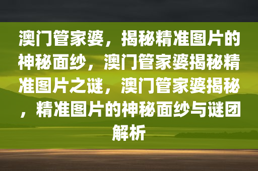 澳门管家婆，揭秘精准图片的神秘面纱，澳门管家婆揭秘精准图片之谜，澳门管家婆揭秘，精准图片的神秘面纱与谜团解析