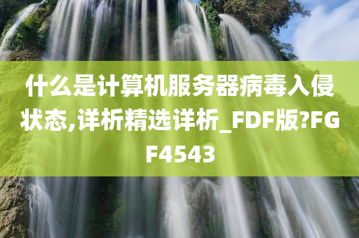 什么是计算机服务器病毒入侵状态,详析精选详析_FDF版?FGF4543