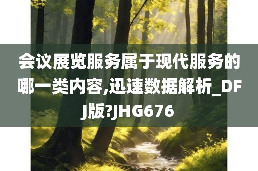 会议展览服务属于现代服务的哪一类内容,迅速数据解析_DFJ版?JHG676