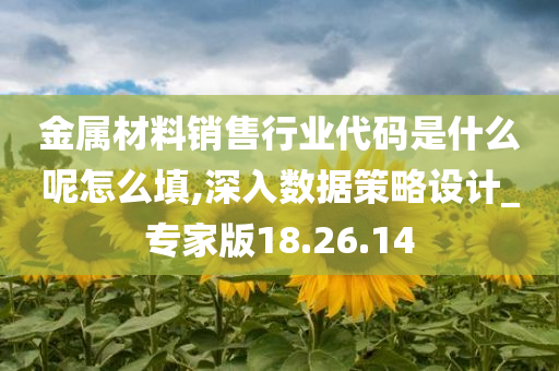 金属材料销售行业代码是什么呢怎么填,深入数据策略设计_专家版18.26.14