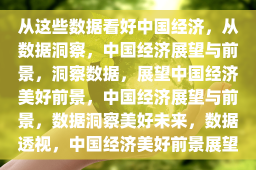 从这些数据看好中国经济，从数据洞察，中国经济展望与前景，洞察数据，展望中国经济美好前景，中国经济展望与前景，数据洞察美好未来，数据透视，中国经济美好前景展望