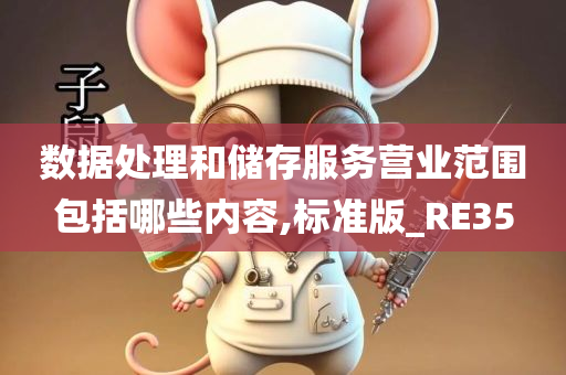 数据处理和储存服务营业范围包括哪些内容,标准版_RE35