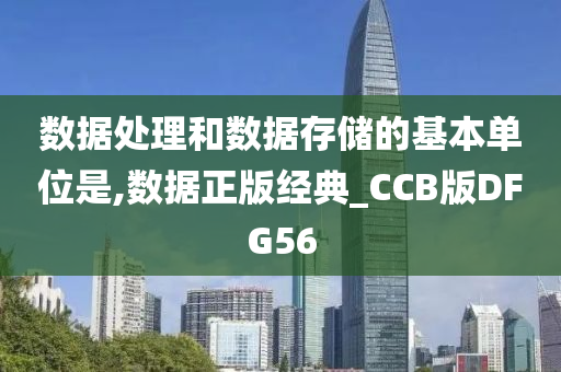 数据处理和数据存储的基本单位是,数据正版经典_CCB版DFG56