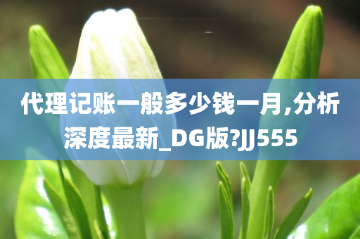 代理记账一般多少钱一月,分析深度最新_DG版?JJ555