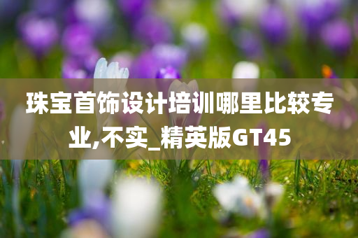 珠宝首饰设计培训哪里比较专业,不实_精英版GT45