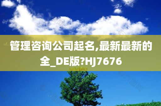 管理咨询公司起名,最新最新的全_DE版?HJ7676