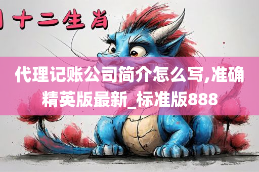 代理记账公司简介怎么写,准确精英版最新_标准版888