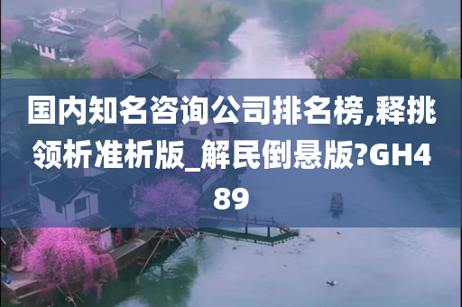 国内知名咨询公司排名榜,释挑领析准析版_解民倒悬版?GH489