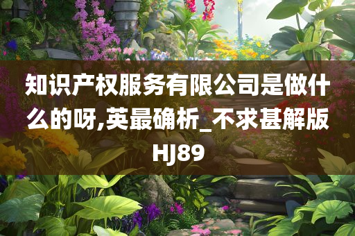 知识产权服务有限公司是做什么的呀,英最确析_不求甚解版HJ89