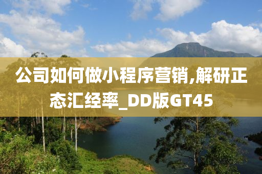 公司如何做小程序营销,解研正态汇经率_DD版GT45