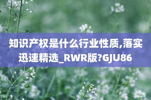 知识产权是什么行业性质,落实迅速精选_RWR版?GJU86