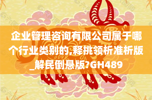 企业管理咨询有限公司属于哪个行业类别的,释挑领析准析版_解民倒悬版?GH489