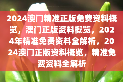 2024澳门精准正版免费资料概览，澳门正版资料概览，2024年精准免费资料全解析，2024澳门正版资料概览，精准免费资料全解析