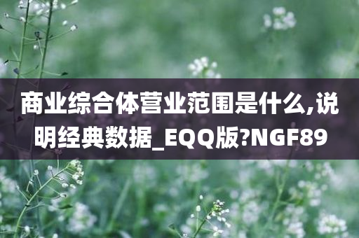 商业综合体营业范围是什么,说明经典数据_EQQ版?NGF89