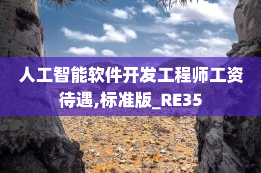 人工智能软件开发工程师工资待遇,标准版_RE35