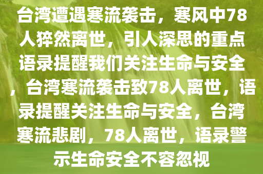 台湾遭遇寒流袭击，寒风中78人猝然离世，引人深思的重点语录提醒我们关注生命与安全，台湾寒流袭击致78人离世，语录提醒关注生命与安全，台湾寒流悲剧，78人离世，语录警示生命安全不容忽视